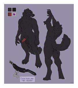 animal_genitalia animal_penis anthro arm_scar arm_tuft artist_name balls black_balls black_body black_fur border canid canine canine_genitalia canine_penis canis cheek_tuft chest_tuft collar color_swatch elbow_tuft facial_tuft fangs front_view fur genitals hi_res male male_anthro mammal model_sheet mouth_closed neck_tuft nude penis penis_tip purple_eyes rear_view red_penis scar seraphictiger simple_background solo standing teeth text tuft white_border wolf