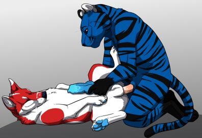 anal anal_sex animal_genitalia animal_penis anthro anthro_on_feral anthro_penetrating anthro_penetrating_feral ass balls black_nose blue_body blue_fur blue_pawpads blue_penis canid canine_genitalia canine_penis cheek_tuft closed_eyes closed_smile duo erection facial_tuft felid feral feral_penetrated fur genitals glistening glistening_eyes gloves_(marking) grey_background handjob kneeling knot leg_markings lying male male/male male_penetrated male_penetrating male_penetrating_male mammal markings mouth_closed neck_tuft on_back pantherine pawpads penetration penile penile_penetration penis penis_in_ass pink_penis red_body red_eyes red_fur sex simple_background smile socks_(marking) spread_legs spreading striped_arms striped_back striped_legs striped_markings striped_tail stripes tail tail_markings tiger tuft unbreakable-warrior white_balls white_body white_fur zoophilia