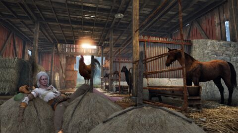 3d ciri female horse imminent_anal imminent_bestiality imminent_cum_swallow imminent_oral the_vice_art the_witcher_(series) the_witcher_3:_wild_hunt zoophilia