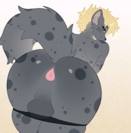 1boy anthro anus ass ass_focus backsack balls ballsack batya black_eyes blonde_hair calahoo_(calahootheyeen) clothed clothing femboy fur furry genitals girly grey_balls grey_body hair hi_res hyena looking_at_viewer looking_back looking_back_at_viewer male male_only mammal markings panties partially_clothed pink_anus presenting presenting_anus presenting_hindquarters simple_background smile solo spots spotted_body spotted_fur spotted_hyena submissive submissive_male underwear underwear_down white_background