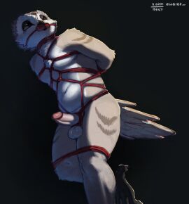 4_toes absurd_res anisodactyl anthro avian avian_feet balls beak biped bird bondage bound chest_tuft collar feathers feet gag gagged genitals hands_behind_back hi_res male nude_anthro nude_male owl penis penis_tied querq restraints rope rope_bondage rope_harness simple_background solo standing submissive_male tail tail_feathers tan_body tan_feathers toes tuft