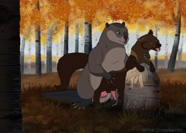 absurd_res animal_genitalia ass autumn balls beaver beaver_tail bitterstrawberries bodily_fluids brown_body brown_fur cloaca cum cum_in_ass cum_inside digital_media_(artwork) echo_(bitterstrawberries) ejaculation feral feral_on_feral feral_penetrated feral_penetrating fisher_(animal) fur genital_fluids genitals gulonine hi_res husq_(bitterstrawberries) male male/male mammal mustelid musteline outside outside_sex penetration rodent sex stump tongue tongue_out