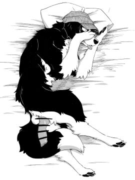 anatomically_correct anatomically_correct_genitalia anatomically_correct_penis animal_genitalia animal_penis anthro balls black_body black_fur black_nose black_pawpads border_collie canid canine canine_genitalia canine_penis canis censor_bar censored claws clothing collie domestic_dog erection feral fur genitals hat head_on_pillow headgear headwear herding_dog hi_res hot_dog_wolf knot knotted_penis male mammal monochrome multicolored_body multicolored_fur pastoral_dog pawpads paws penis penis_backwards pupils quadruped sheepdog slit_pupils snout solo tail toe_claws tongue tongue_out two-tone_body two-tone_fur white_body white_fur